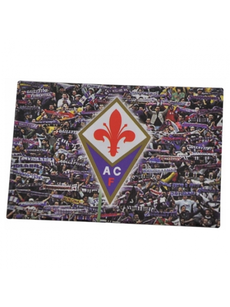 Magnete ACF FIORENTINA